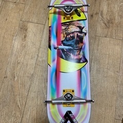 新品　スケボー　PALECE &Ventuer