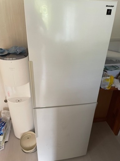 【中部〜北部で待ち合わせ可能】冷蔵庫　シャープ　2019年製　280L