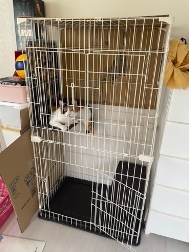 ゲージ　猫用　【中部〜北部で待ち合わせ可能】
