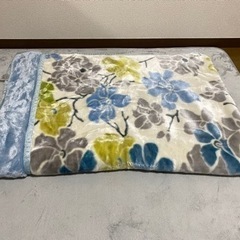 毛布  タオルケット（2点）シングルの画像