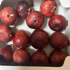 お取引決定⭐️いちじく③