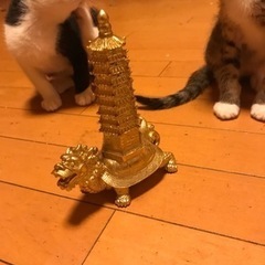 風水的な物