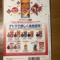金魚ことはじめの画像
