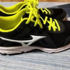 ランニング シューズ MIZUNO ミズノ マキシマイザー19