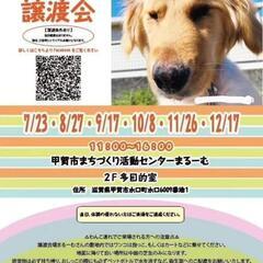 8月27日 保護犬　保護猫　譲渡会