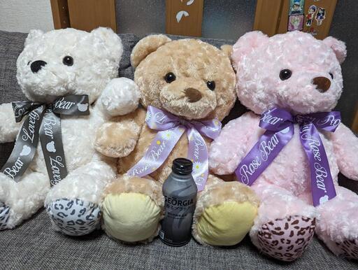 クマのぬいぐるみ3点セット