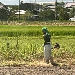 ご自宅のお庭を綺麗に致します！！(草刈り,剪定など)