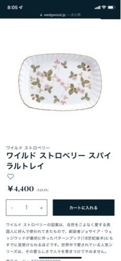 ワイルドベリー　お皿