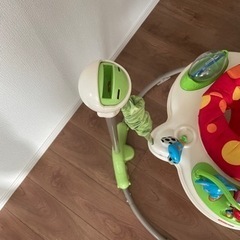 レインフォレスト・ジャンパルー フィッシャープライスの画像