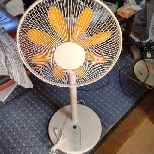 ちょっと大きい扇風機