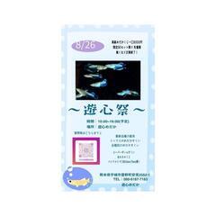 8月26日10時より開催