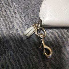 GUCCIの小銭入れの財布の画像