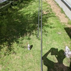 竿竹（さおだけ）2本の画像