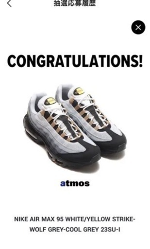 “NIKE AIR MAX 95 ICON FLIP COLLECTION”