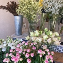 お花が入荷しました🌷