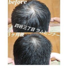 四谷三丁目徒歩２分プライベートサロン 髪質＆肌質改善！モニター様も募集！ - 美容