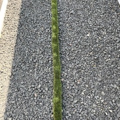 リアリーターフ　ヨーロピアンロング　ゴールドR8 端材の画像