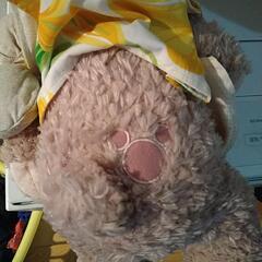 最終Sale　ディズニーランド　シェリーメイ　ぬいぐるみの画像
