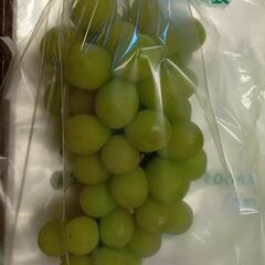 残り3房シャインマスカットの画像