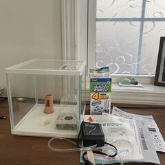 ２０ｃｍ×２０ｍ×２０ｃｍ　ガラス水槽セット