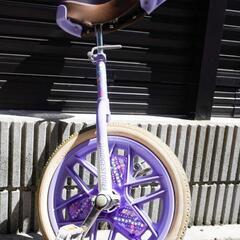 ブリジストン　一輪車　16インチ　USED
