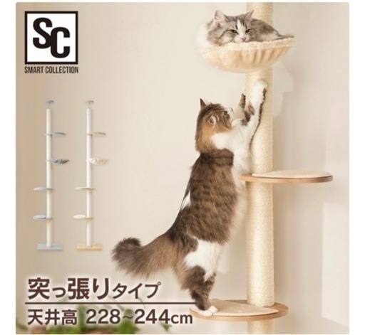 キャットタワー 突っ張り スリム 省スペース 猫タワー 木 木登りキャットタワー KCCT‐244突っ張り 猫タワー おしゃれ キャットポール 猫ツリー 木製 省スペース 多頭飼い