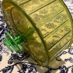 ハムスターコロコロの画像