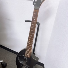 フェルナンデス　ギター　ぞうさん