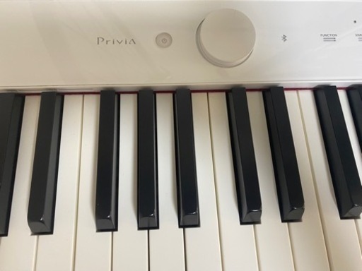 PX-S1000WE CASIO Privia