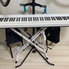 PX-S1000WE CASIO Privia