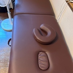 整体マッサージベット　エステの画像