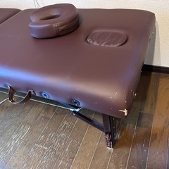 整体マッサージベット　エステの画像