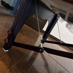 整体マッサージベット　エステの画像