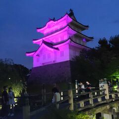 ９月２日（土）世界一の田んぼアートと日本一の花手水行田市希望の光...