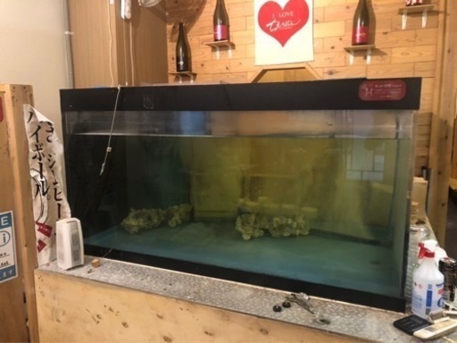 早い者勝ち！！大型水槽　冷却機　《大幅値下げ》