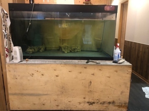 早い者勝ち！！大型水槽　冷却機　《大幅値下げ》