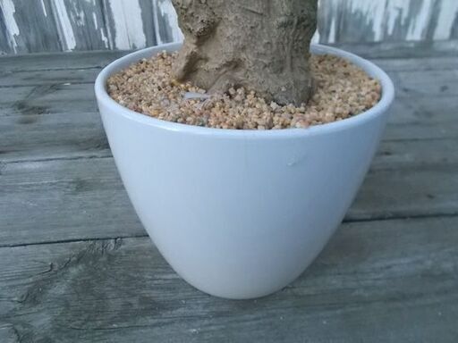 フェイクグリーン 観葉植物 高さ190cm インテリア 装飾 オフィス