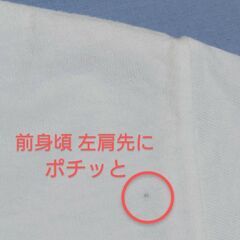 半袖Ｔシャツ／Sサイズ〚anvil アンビル〛タグ無し未着用の画像