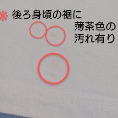 半袖Ｔシャツ／Мサイズ〚Modern ジャポニカ〛タグ無し未着用の画像