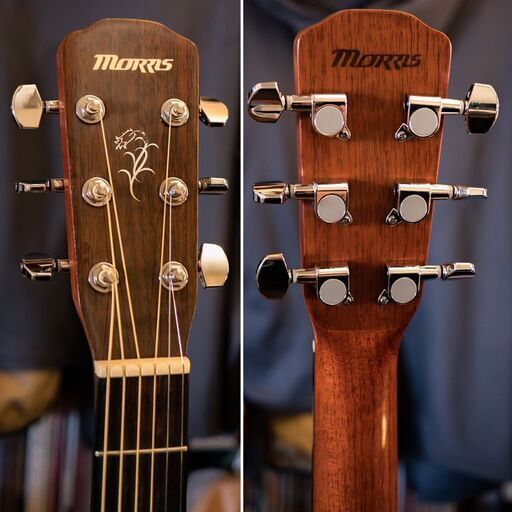 ↘MORRIS F-12Ⅱ 単板トップ 付属品充実