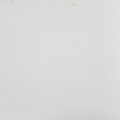 モンターズインクの画像