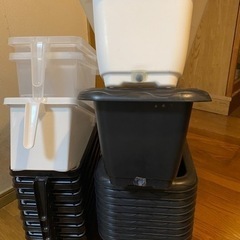 決まりました。　めだか飼育ケースの画像