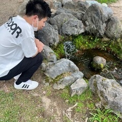 お手伝いします！