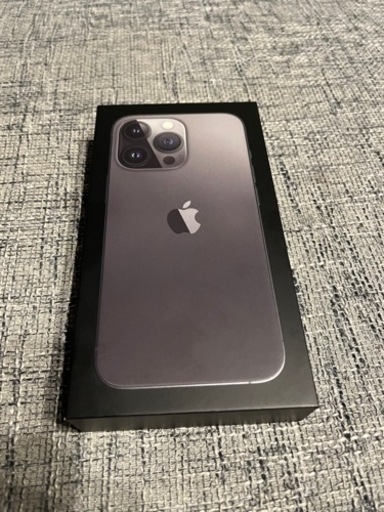 iPhone 13 Pro グラファイト 256 GB