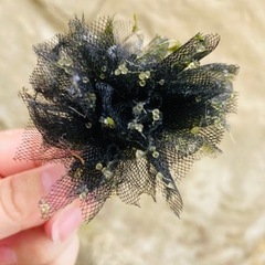 メダカ　卵　たまごまたは針子　300円から
