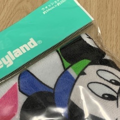 未使用品★TDL ディズニー ウォッシュタオル ミッキーのミニーの画像