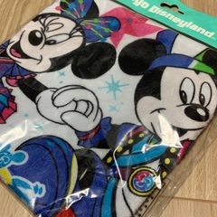 未使用品★TDL ディズニー ウォッシュタオル ミッキーのミニーの画像