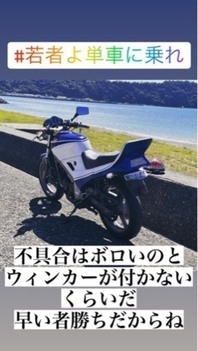 VTZ250  早い者勝ち　始動動画あり