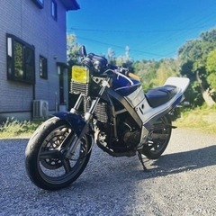 VTZ250  早い者勝ち　始動動画あり