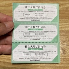 【値下げ】名鉄株主入場ご招待券３枚　ビーチランド入れますの画像
